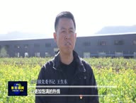 黨的二十大報告在我縣持續引發熱烈反響