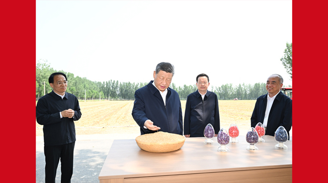 习近平在山东德州考察时强调<Br>以扎实举措推进农业农村现代化<Br>用勤劳和智慧创造更加美好生活